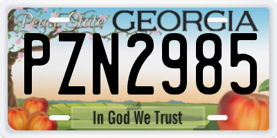 GA license plate PZN2985