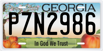 GA license plate PZN2986