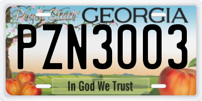 GA license plate PZN3003