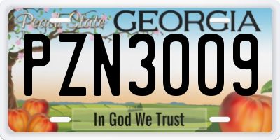 GA license plate PZN3009