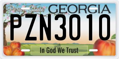 GA license plate PZN3010