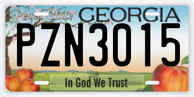 GA license plate PZN3015