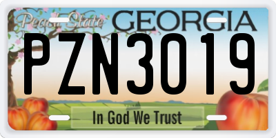 GA license plate PZN3019