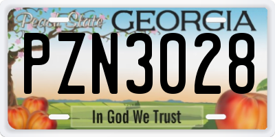 GA license plate PZN3028