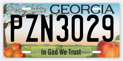 GA license plate PZN3029