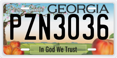 GA license plate PZN3036