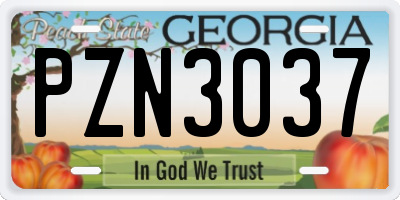 GA license plate PZN3037