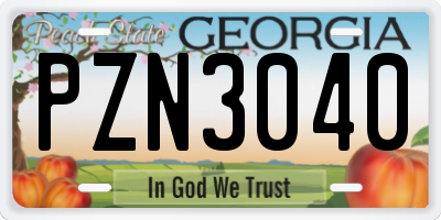 GA license plate PZN3040