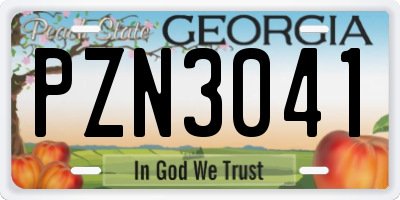 GA license plate PZN3041