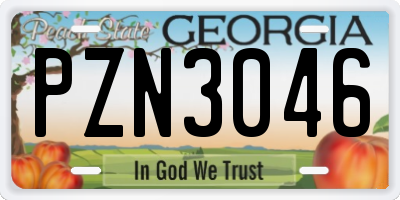 GA license plate PZN3046