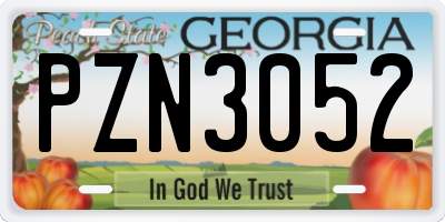 GA license plate PZN3052