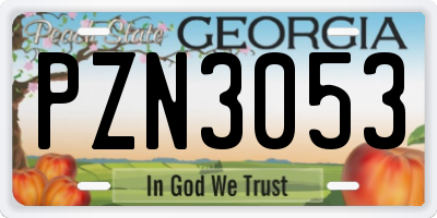 GA license plate PZN3053