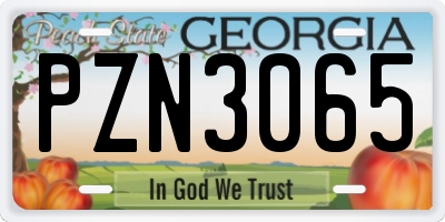 GA license plate PZN3065