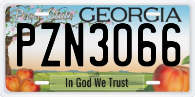 GA license plate PZN3066