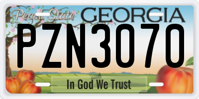 GA license plate PZN3070