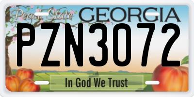 GA license plate PZN3072