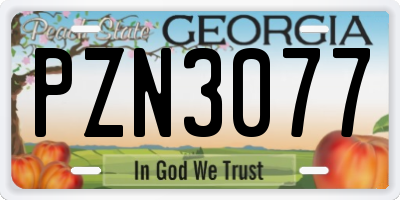 GA license plate PZN3077
