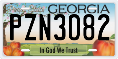 GA license plate PZN3082
