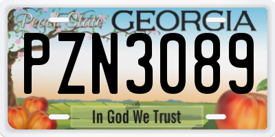 GA license plate PZN3089
