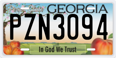 GA license plate PZN3094