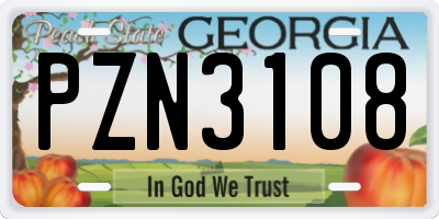 GA license plate PZN3108
