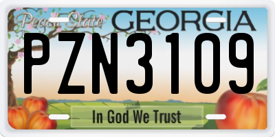 GA license plate PZN3109