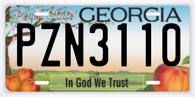 GA license plate PZN3110