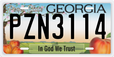 GA license plate PZN3114