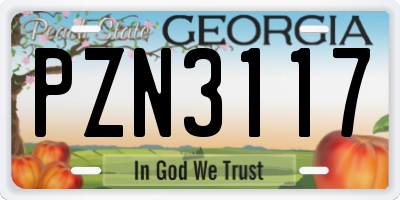 GA license plate PZN3117