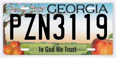 GA license plate PZN3119