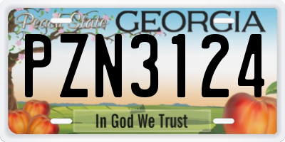 GA license plate PZN3124