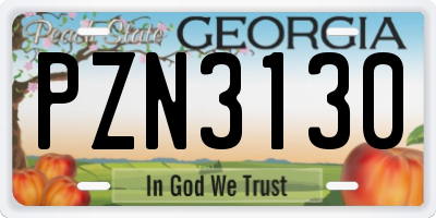 GA license plate PZN3130