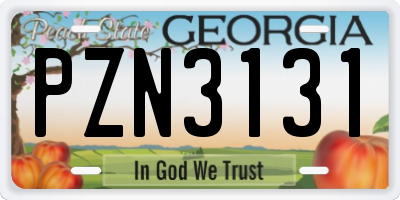 GA license plate PZN3131