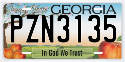 GA license plate PZN3135