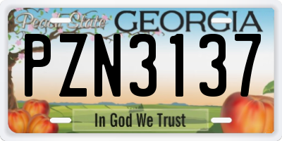 GA license plate PZN3137