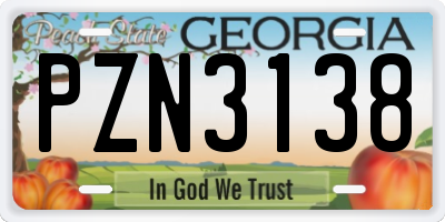 GA license plate PZN3138