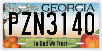 GA license plate PZN3140