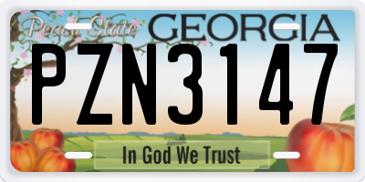 GA license plate PZN3147