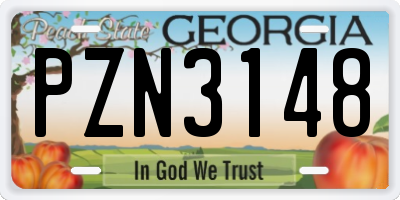 GA license plate PZN3148