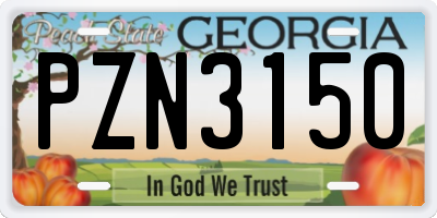 GA license plate PZN3150
