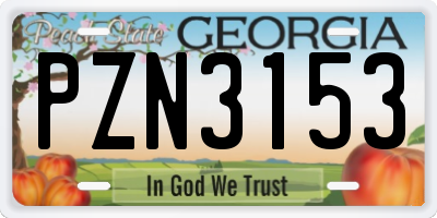 GA license plate PZN3153