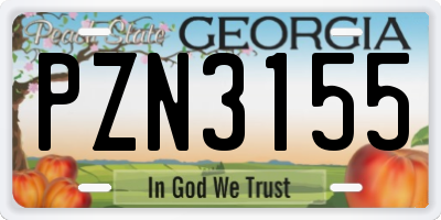 GA license plate PZN3155