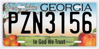 GA license plate PZN3156