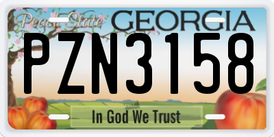 GA license plate PZN3158