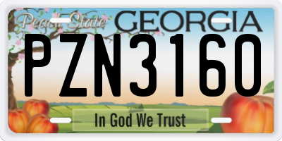 GA license plate PZN3160