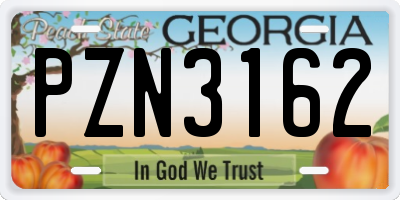 GA license plate PZN3162