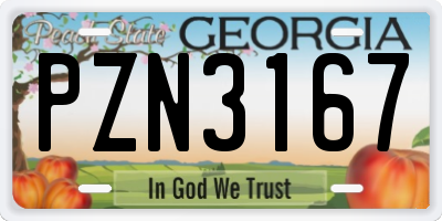 GA license plate PZN3167