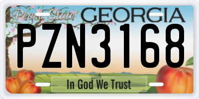 GA license plate PZN3168