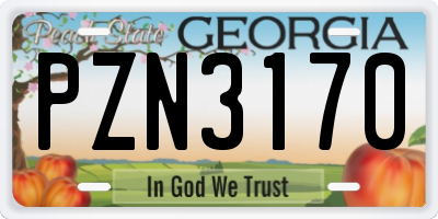GA license plate PZN3170