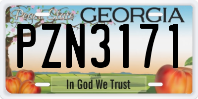 GA license plate PZN3171